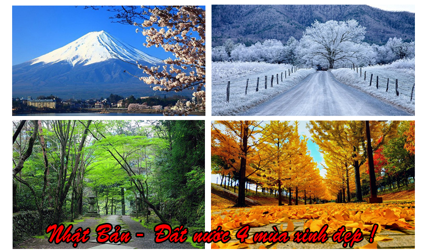 So sánh điều hòa Daikin FTC35NV1V với Panasonic N12SKH-81