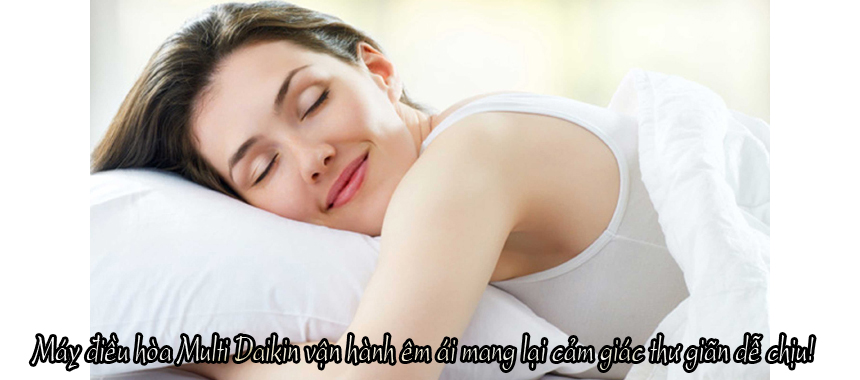 Giới thiệu chung về máy điều hòa Multi Daikin3