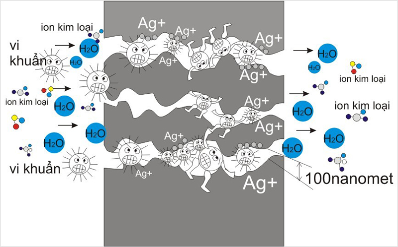 Màng lọc ion bạc