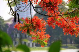 Nóng cực điểm, dân đổ xô đi mua điều hòa âm trần Hitachi chống nóng