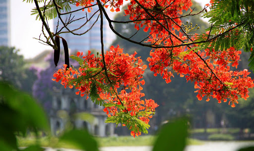 Nóng cực điểm, dân đổ xô đi mua điều hòa âm trần Hitachi chống nóng