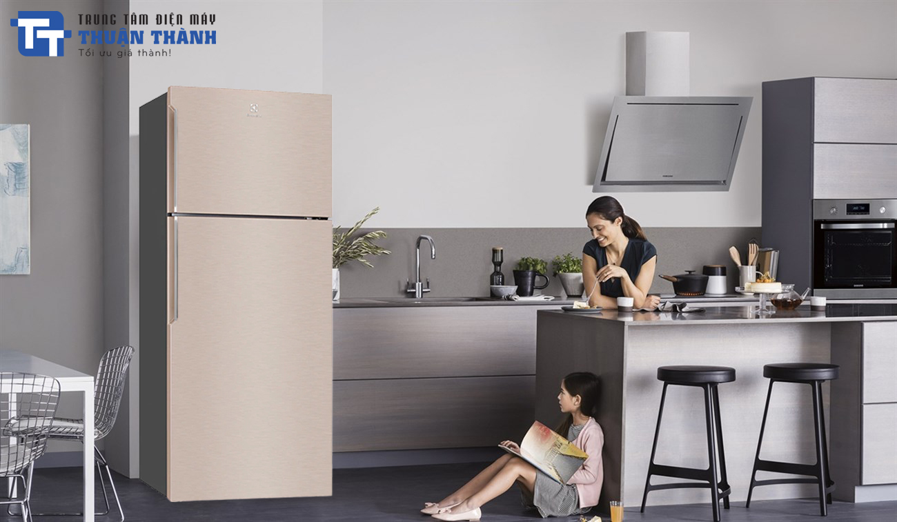 Những ưu điểm nổi bật của tủ lạnh Electrolux ETB4600B-G Inverter