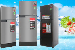 Top 3 mẫu tủ lạnh Sharp giá rẻ dưới 6 triệu đồng