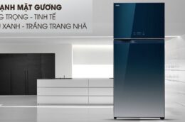 Chiếc tủ lạnh Toshiba GR-WG66VDAZ 600 Lít màu xanh độc đáo có những ưu điểm gì?