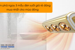 Khám phá ngay 3 mẫu đèn sưởi giá rẻ đáng mua nhất cho mùa đông