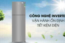 Khám phá 3 mẫu tủ lạnh Electrolux 250 lít, 255 lít giá rẻ chỉ dưới 8 triệu đồng