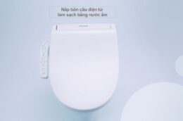 Khám phá nắp bồn cầu Panasonic DL-EH10VG-W điện tử thông minh