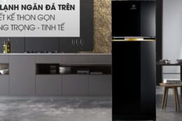 Những lý do tủ lạnh Electrolux ETB3700J-H 350 lít được nhiều gia đình ưa chuộng