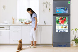 3 lý do nên chọn mua tủ lạnh Funiki FR-125CI 120 lít
