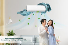 Những lý do khiến bạn nên chọn mua điều hòa Casper GH-09IS33