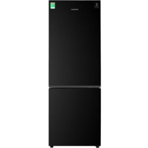 Tủ Lạnh Samsung Inverter RB30N4010BU/SV 2 Cánh 310 Lít