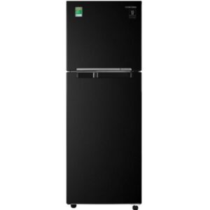 Tủ Lạnh Samsung Inverter RT25M4032BU/SV 2 Cánh 256 Lít