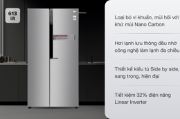 Ấn tượng về thiết kế, công nghệ có trên tủ lạnh LG GR-B247JDS