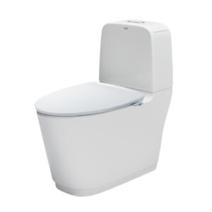 Bồn Cầu INAX AC-832/CW-S32VN Nắp Rửa Cơ