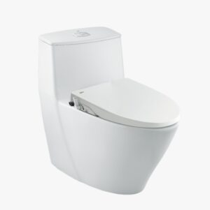 Bồn cầu 1 khối INAX AC-919R+CW-H17VN/BW1