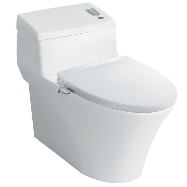 Bồn Cầu INAX AC-1008R/CW-S32VN Nắp Rửa Cơ