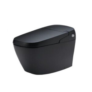 Bồn Cầu Thông Minh INAX AC-G216VN/BKG Màu Đen