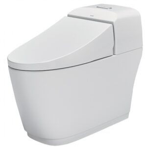 Bồn Cầu INAX AC-1032VN 1 Khối Nắp Êm Aqua Ceramic