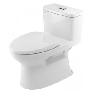 Bồn Cầu INAX AC-969VN 1 Khối Aqua Ceramic