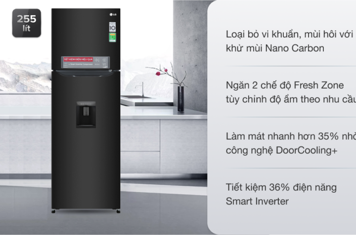 Tủ lạnh LG GN-D255BL 255 Lít giá chỉ hơn 7 triệu đồng có gì nổi bật?