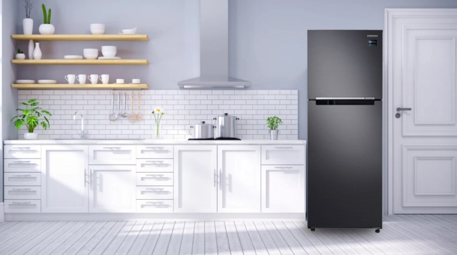 Tủ lạnh Samsung RT29K503JB1/SV thiết kế sang trọng, kiểu dáng hiện đại