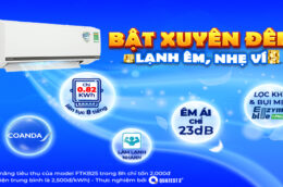Có nên lựa chọn điều hòa Daikin FTKB25WAVMV hay không?