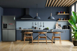 Tủ lạnh LG GR-D257MC 635 lít có những ưu điểm gì?