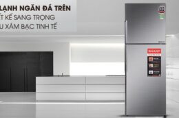 Những mẫu tủ lạnh 2 cánh giá rẻ cho gia đình ít người sử dụng