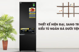 TOP 3 tủ lạnh Panasonic 2 cánh giá rẻ, chất lượng đáng để lựa chọn
