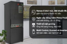 Tủ lạnh Panasonic NR-BC361VGMV 325 Lít có những ưu điểm nổi bật nào?