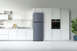 3 ưu điểm tuyệt vời của tủ lạnh Casper RT-250VD 2 cánh