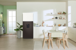 Điểm ấn tượng có trên tủ lạnh Samsung RT42CB6784C3SV 2 cánh