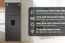Lý do tủ lạnh Samsung RT42CG6584B1SV Inverter được ưa chuộng