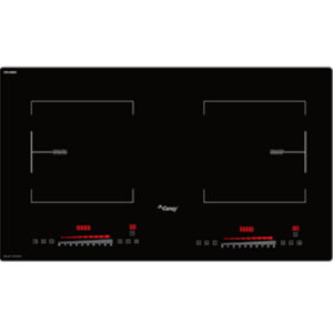 Bếp Từ Đôi Canzy CZ 29HN