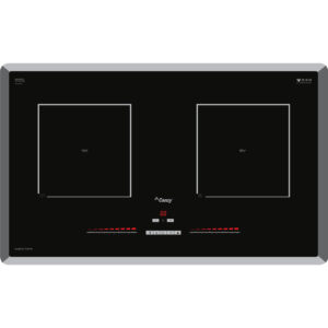 Bếp Từ Đôi Canzy CZ TL9979G