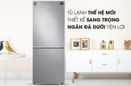 Gợi ý 3 mẫu tủ lạnh Samsung ngăn đá dưới chất lượng, giá rẻ nên mua