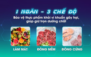 Tủ Đông Sanaky VH-5699HYK 1 Ngăn 560 Lít