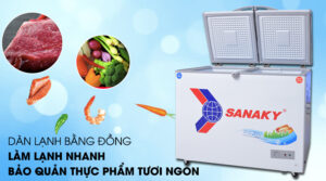 Tủ đông Sanaky 220 lít VH-2899W1