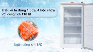 Tủ đông Sanaky 118 lít VH160VD