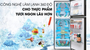 Tủ Lạnh Aqua Inverter AQR-T329MA(GB) 319 Lít