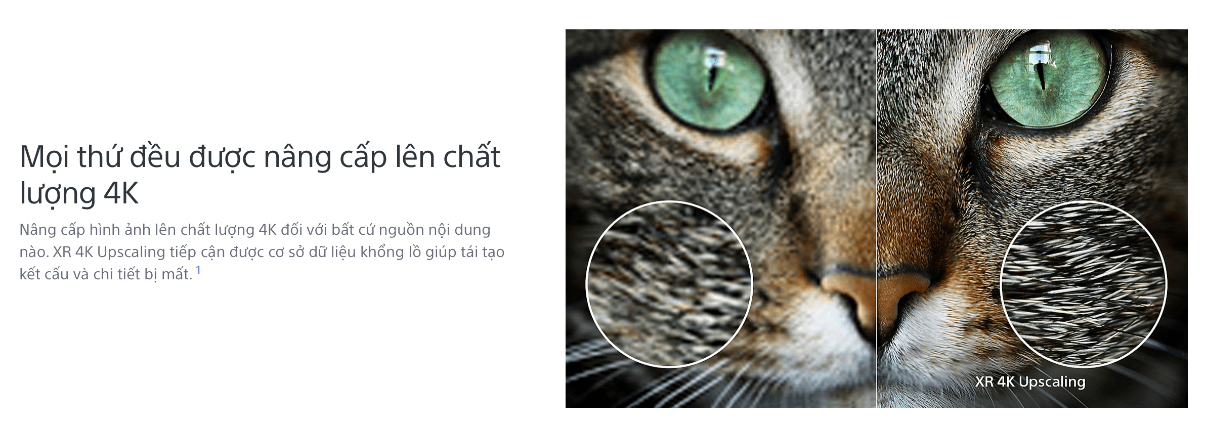 TV 4K Sony nâng cấp chất lượng ảnh lên 4K