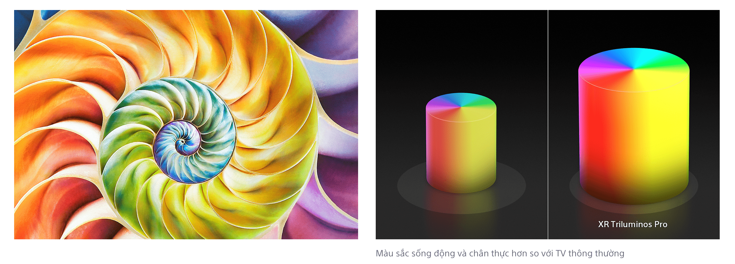 Tivi Sony 4K màu sắc sống động hơn