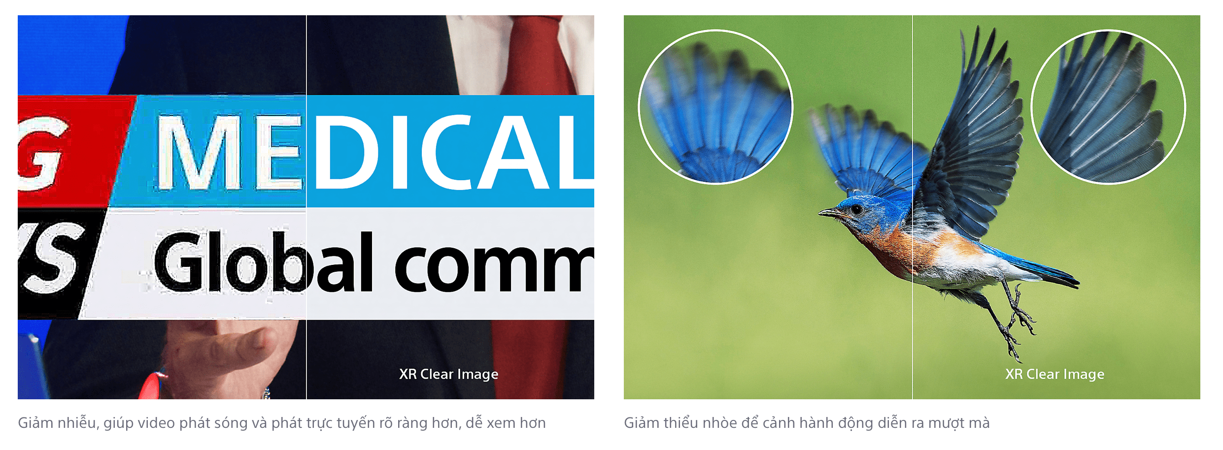 Tivi sony giảm độ nhòe