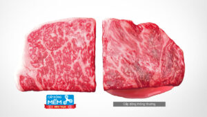 Tủ Lạnh Mitsubishi Electric Inverter 6 Cánh 506 Lít MR-WX52D-BR-V