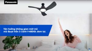 Quạt trần Panasonic F-48DGL