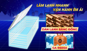 Tủ đông Sanaky VH-2399HY 2000 lít