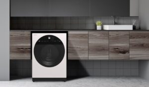 Máy Giặt Hitachi Inverter 10Kg BD-100GV