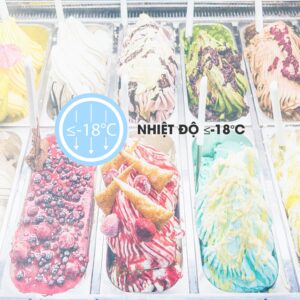 Tủ Đông Sanaky 260 Lít 1 Ngăn Đông VH-3899K