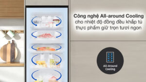 Tủ lạnh Samsung Inverter 460 lít RT47CB66868A/SV