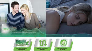 Tủ Lạnh Mitsubishi Electric Inverter 3 Cánh 450 Lít MR-CGX56EP-GBK-V